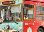 成都街头：杜甫变身公交司机，诗意穿梭城市角落